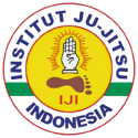 logo-iji